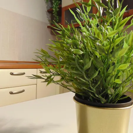 Dante's Affittacamere *