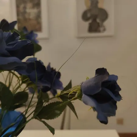 Dante's Affittacamere *